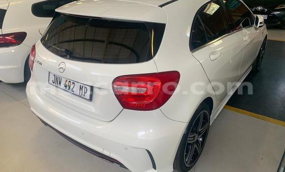 Tenga Tsaru Mercedes‒Benz A-Class Chena Mota in Gilé in Zambezia Tenga Tsaru Mercedes‒Benz A-Class Chena Mota in Gilé in Zambezia