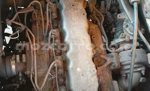 Tenga Tsaru Toyota Coaster Chena Mota in Maputo in Maputo Tenga Tsaru Toyota Coaster Chena Mota in Maputo in Maputo