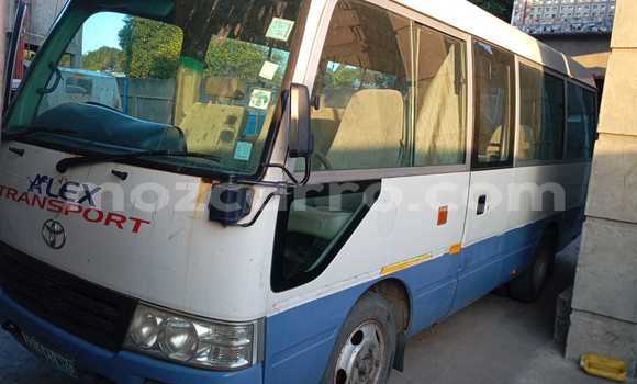 Tenga Tsaru Toyota Coaster Chena Mota in Maputo in Maputo Tenga Tsaru Toyota Coaster Chena Mota in Maputo in Maputo