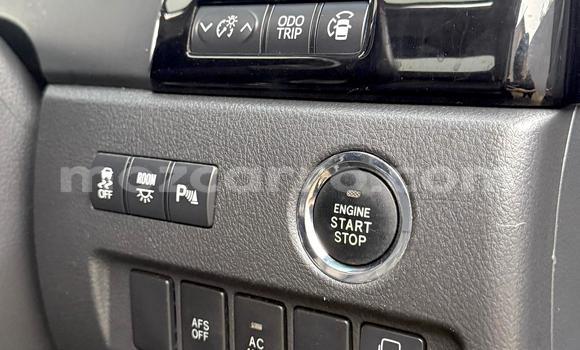 Tenga Tsaru Toyota Vellfire Nhema Mota in Maputo in Maputo Tenga Tsaru Toyota Vellfire Nhema Mota in Maputo in Maputo