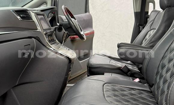 Tenga Tsaru Toyota Vellfire Nhema Mota in Maputo in Maputo Tenga Tsaru Toyota Vellfire Nhema Mota in Maputo in Maputo