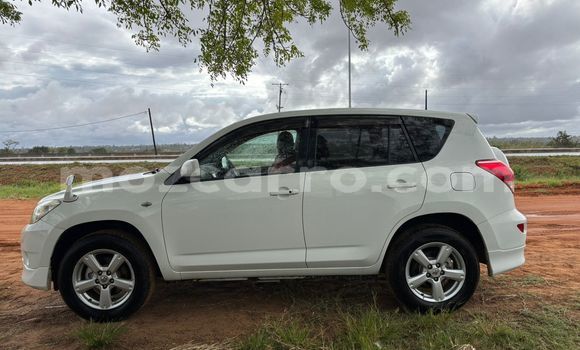 Nunua Ilio tumika Toyota RAV4 Nyeupe Gari ndani ya Maputo nchini Maputo Nunua Ilio tumika Toyota RAV4 Nyeupe Gari ndani ya Maputo nchini Maputo