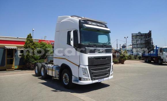 Comprar Usado Volvo F4 Branco Caminhão em Maputo em Maputo