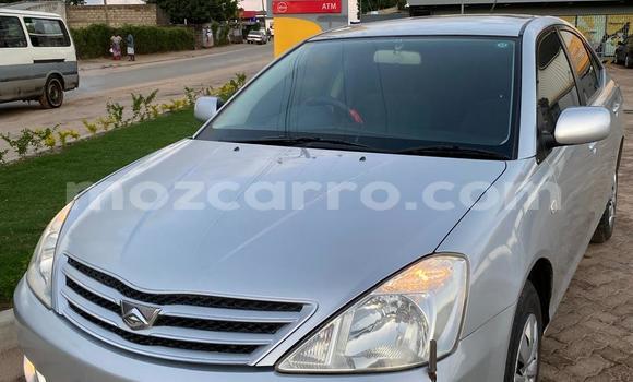Tenga Tsaru Toyota Allion Zvimwe Mota in Maputo in Maputo Tenga Tsaru Toyota Allion Zvimwe Mota in Maputo in Maputo