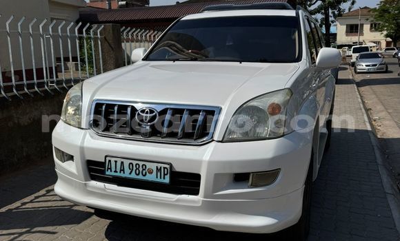 Tenga Tsaru Toyota Land Cruiser Prado Chena Mota in Maputo in Maputo Tenga Tsaru Toyota Land Cruiser Prado Chena Mota in Maputo in Maputo
