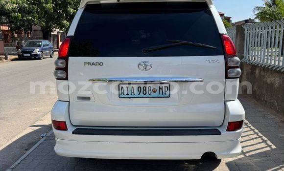 Tenga Tsaru Toyota Land Cruiser Prado Chena Mota in Maputo in Maputo Tenga Tsaru Toyota Land Cruiser Prado Chena Mota in Maputo in Maputo