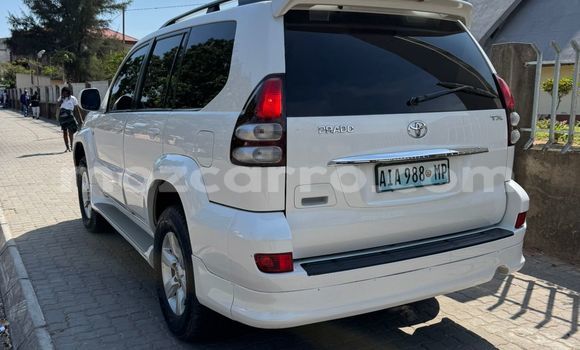 Tenga Tsaru Toyota Land Cruiser Prado Chena Mota in Maputo in Maputo Tenga Tsaru Toyota Land Cruiser Prado Chena Mota in Maputo in Maputo