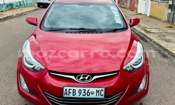 Comprar Usado Hyundai Elantra Vermelho Carro em Maputo em Maputo