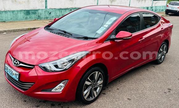 Tenga Tsaru Hyundai Elantra Tsvuku Mota in Maputo in Maputo Tenga Tsaru Hyundai Elantra Tsvuku Mota in Maputo in Maputo