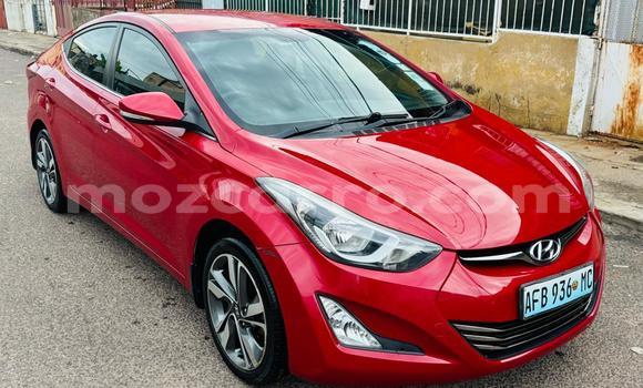 Tenga Tsaru Hyundai Elantra Tsvuku Mota in Maputo in Maputo Tenga Tsaru Hyundai Elantra Tsvuku Mota in Maputo in Maputo