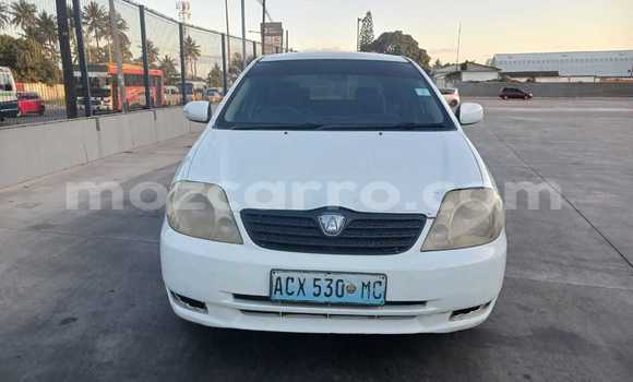 Comprar Usado Toyota Runx Branco Carro em Maputo em Maputo
