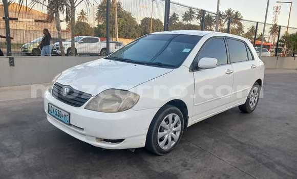 Buy Used Toyota Runx White Car in Maputo in Maputo Buy Used Toyota Runx White Car in Maputo in Maputo