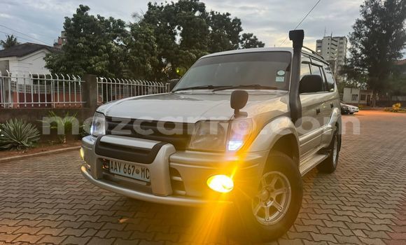 Tenga Tsaru Toyota Land Cruiser Prado Zvimwe Mota in Maputo in Maputo Tenga Tsaru Toyota Land Cruiser Prado Zvimwe Mota in Maputo in Maputo