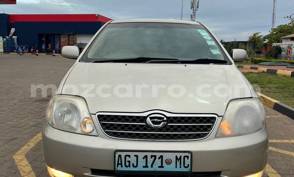 Comprar Usado Toyota Corolla Prata Carro em Maputo em Maputo Comprar Usado Toyota Corolla Prata Carro em Maputo em Maputo