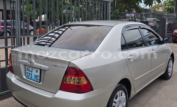 Comprar Usado Toyota Corolla Prata Carro em Maputo em Maputo Comprar Usado Toyota Corolla Prata Carro em Maputo em Maputo
