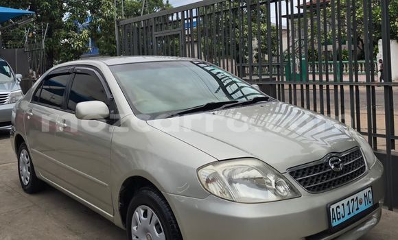 Comprar Usado Toyota Corolla Prata Carro em Maputo em Maputo Comprar Usado Toyota Corolla Prata Carro em Maputo em Maputo