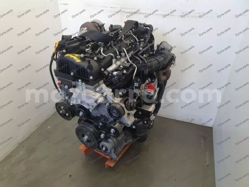 Big with watermark 3