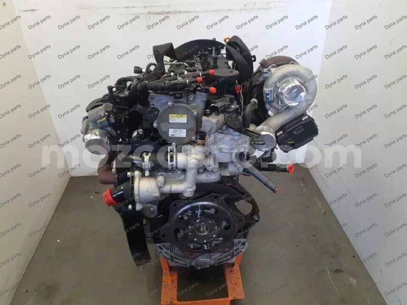 Big with watermark 6