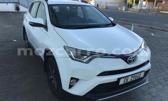 Tenga Tsaru Toyota RAV4 Chena Mota in Gilé in Zambezia Tenga Tsaru Toyota RAV4 Chena Mota in Gilé in Zambezia