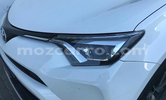 Tenga Tsaru Toyota RAV4 Chena Mota in Gilé in Zambezia Tenga Tsaru Toyota RAV4 Chena Mota in Gilé in Zambezia