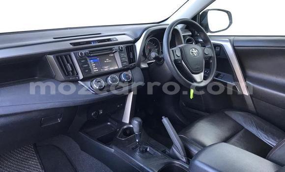 Tenga Tsaru Toyota RAV4 Chena Mota in Gilé in Zambezia Tenga Tsaru Toyota RAV4 Chena Mota in Gilé in Zambezia