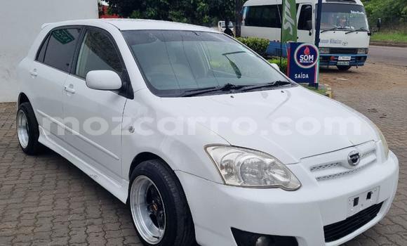 Buy Used Toyota Runx White Car in Maputo in Maputo