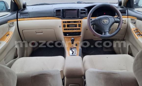 Comprar Usado Toyota Runx Branco Carro em Maputo em Maputo Comprar Usado Toyota Runx Branco Carro em Maputo em Maputo