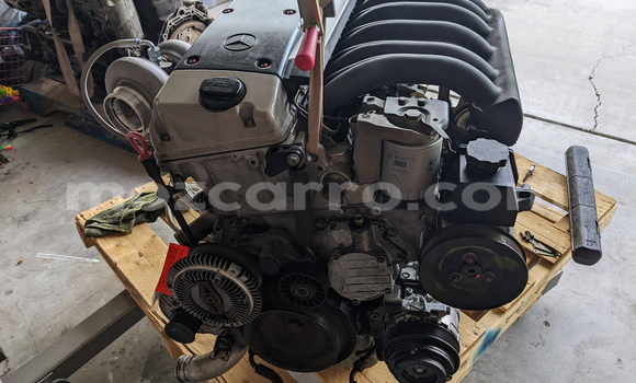 Medium with watermark a