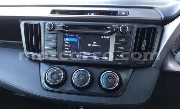 Tenga Tsaru Toyota RAV4 Chena Mota in Gilé in Zambezia Tenga Tsaru Toyota RAV4 Chena Mota in Gilé in Zambezia