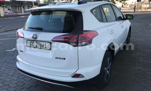 Tenga Tsaru Toyota RAV4 Chena Mota in Gilé in Zambezia Tenga Tsaru Toyota RAV4 Chena Mota in Gilé in Zambezia