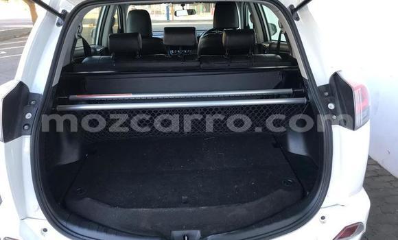 Tenga Tsaru Toyota RAV4 Chena Mota in Gilé in Zambezia Tenga Tsaru Toyota RAV4 Chena Mota in Gilé in Zambezia