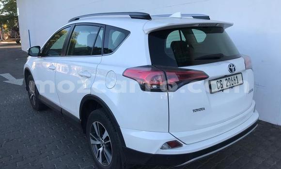 Tenga Tsaru Toyota RAV4 Chena Mota in Gilé in Zambezia Tenga Tsaru Toyota RAV4 Chena Mota in Gilé in Zambezia