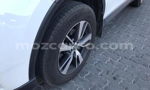 Tenga Tsaru Toyota RAV4 Chena Mota in Gilé in Zambezia Tenga Tsaru Toyota RAV4 Chena Mota in Gilé in Zambezia