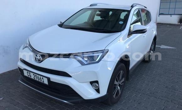 Tenga Tsaru Toyota RAV4 Chena Mota in Gilé in Zambezia Tenga Tsaru Toyota RAV4 Chena Mota in Gilé in Zambezia