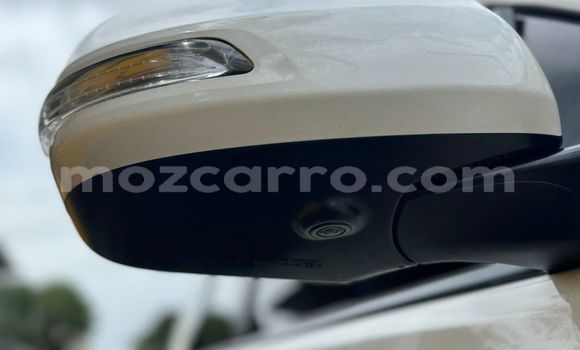 Tenga Tsaru Toyota Land Cruiser Prado Chena Mota in Maputo in Maputo Tenga Tsaru Toyota Land Cruiser Prado Chena Mota in Maputo in Maputo