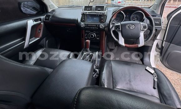 Tenga Tsaru Toyota Land Cruiser Prado Chena Mota in Maputo in Maputo Tenga Tsaru Toyota Land Cruiser Prado Chena Mota in Maputo in Maputo