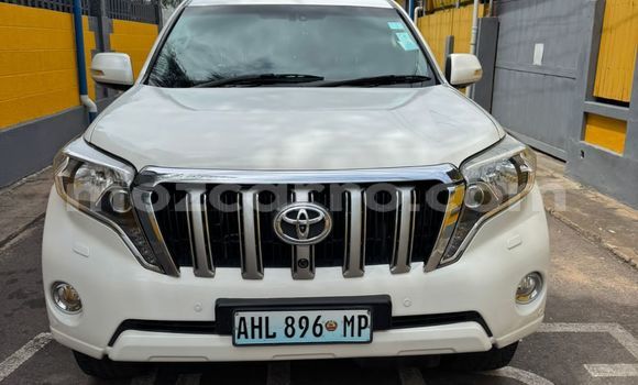 Tenga Tsaru Toyota Land Cruiser Prado Chena Mota in Maputo in Maputo Tenga Tsaru Toyota Land Cruiser Prado Chena Mota in Maputo in Maputo