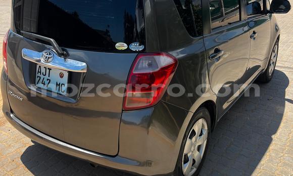 Tenga Tsaru Toyota Ractis Bhurawuni Mota in Maputo in Maputo Tenga Tsaru Toyota Ractis Bhurawuni Mota in Maputo in Maputo