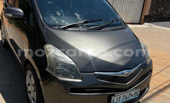 Tenga Tsaru Toyota Ractis Bhurawuni Mota in Maputo in Maputo Tenga Tsaru Toyota Ractis Bhurawuni Mota in Maputo in Maputo