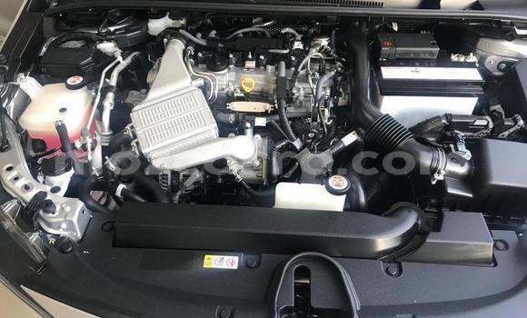 Tenga Tsaru Toyota Corolla Sirivha Mota in Maputo in Maputo Tenga Tsaru Toyota Corolla Sirivha Mota in Maputo in Maputo