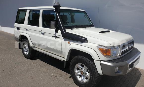 Tenga Tsaru Toyota Land Cruiser Chena Mota in Maputo in Maputo Tenga Tsaru Toyota Land Cruiser Chena Mota in Maputo in Maputo