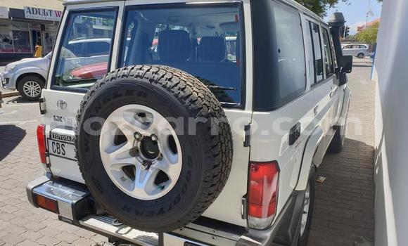 Tenga Tsaru Toyota Land Cruiser Chena Mota in Maputo in Maputo Tenga Tsaru Toyota Land Cruiser Chena Mota in Maputo in Maputo