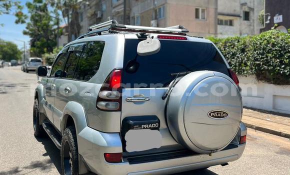 Tenga Tsaru Toyota Land Cruiser Prado Nhema Mota in Maputo in Maputo Tenga Tsaru Toyota Land Cruiser Prado Nhema Mota in Maputo in Maputo