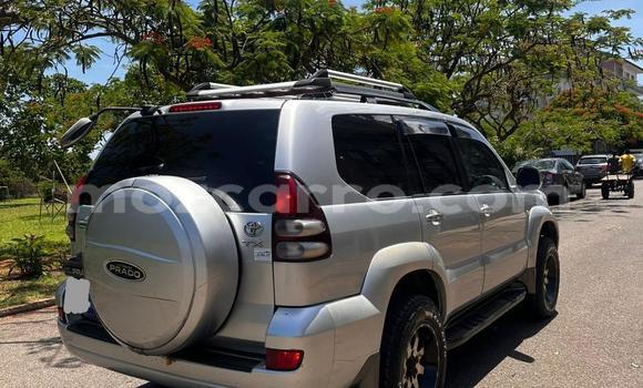 Tenga Tsaru Toyota Land Cruiser Prado Nhema Mota in Maputo in Maputo Tenga Tsaru Toyota Land Cruiser Prado Nhema Mota in Maputo in Maputo