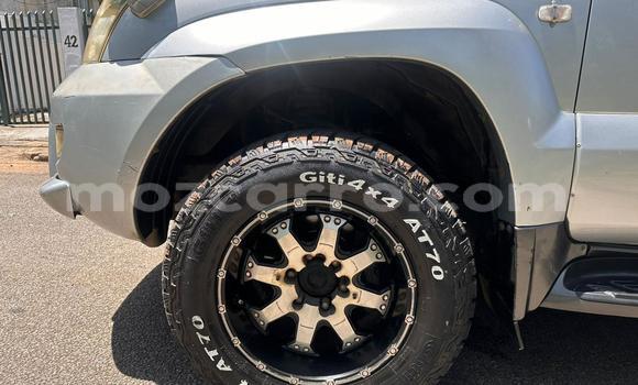 Tenga Tsaru Toyota Land Cruiser Prado Nhema Mota in Maputo in Maputo Tenga Tsaru Toyota Land Cruiser Prado Nhema Mota in Maputo in Maputo