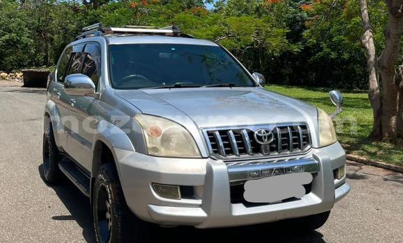 Tenga Tsaru Toyota Land Cruiser Prado Nhema Mota in Maputo in Maputo Tenga Tsaru Toyota Land Cruiser Prado Nhema Mota in Maputo in Maputo