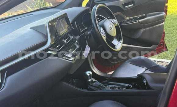 Tenga Tsaru Toyota C-HR Tsvuku Mota in Maputo in Maputo Tenga Tsaru Toyota C-HR Tsvuku Mota in Maputo in Maputo