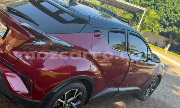 Tenga Tsaru Toyota C-HR Tsvuku Mota in Maputo in Maputo Tenga Tsaru Toyota C-HR Tsvuku Mota in Maputo in Maputo