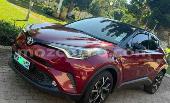 Tenga Tsaru Toyota C-HR Tsvuku Mota in Maputo in Maputo Tenga Tsaru Toyota C-HR Tsvuku Mota in Maputo in Maputo