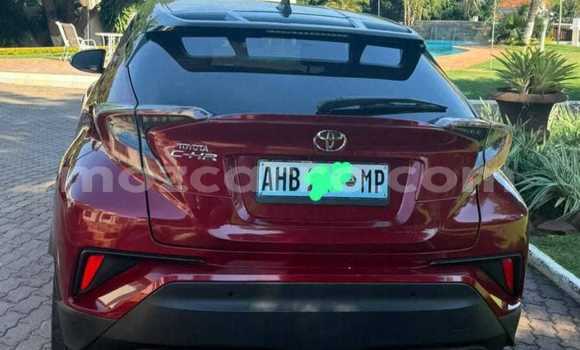Tenga Tsaru Toyota C-HR Tsvuku Mota in Maputo in Maputo Tenga Tsaru Toyota C-HR Tsvuku Mota in Maputo in Maputo